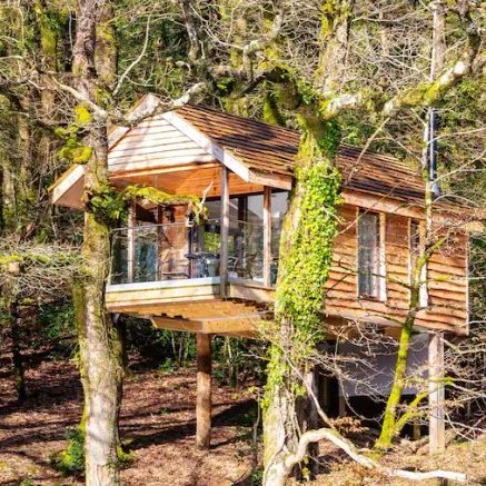 Cornish treehouse